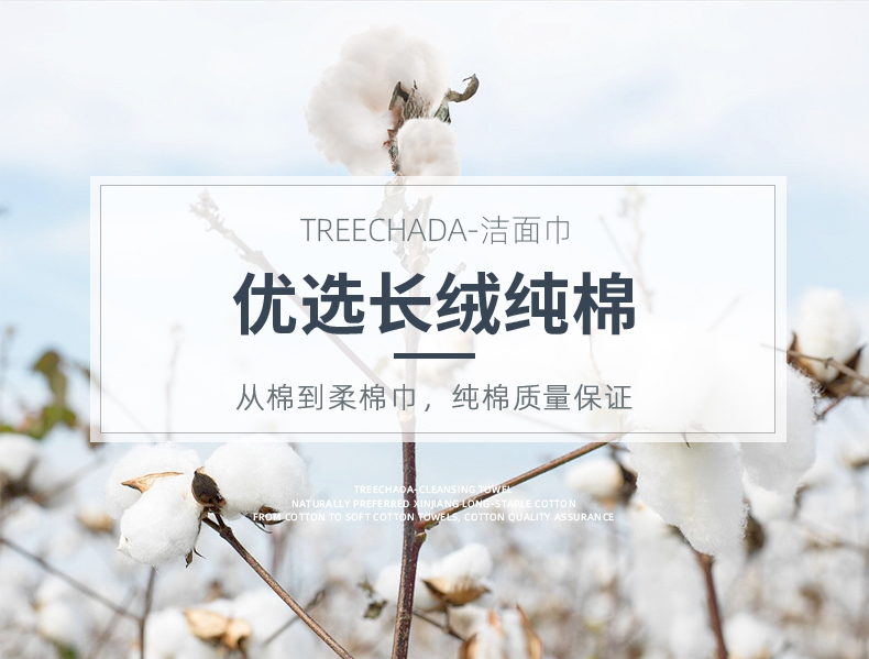 TREECHADA ̩ͲʽһԴϴ 270g Ȿԭ