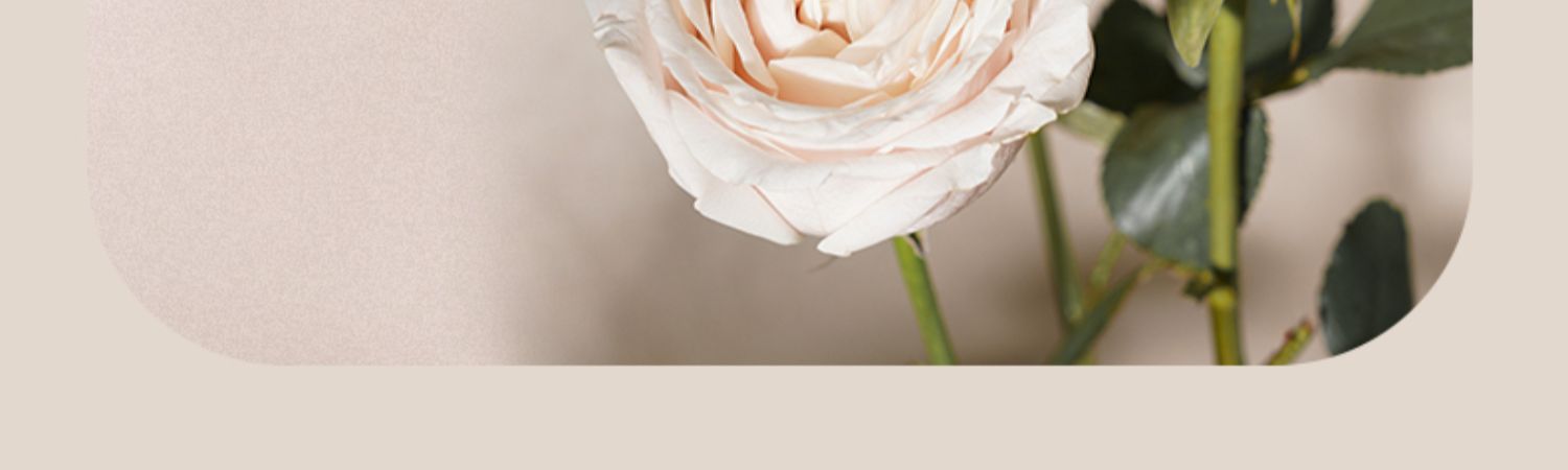 Little Dream Garden Ķ費 200g