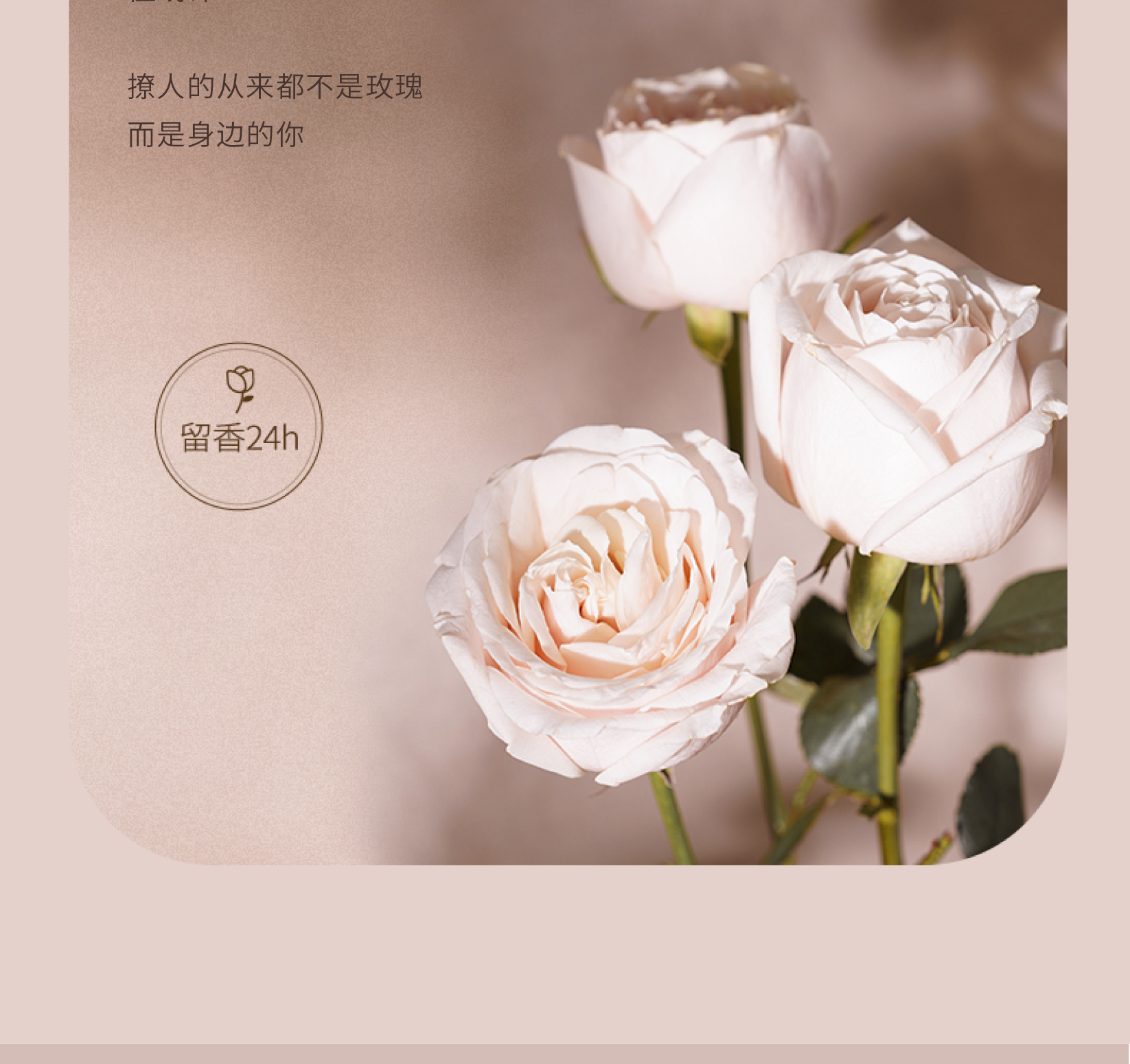 Little Dream Garden Ķӯջ 100ml