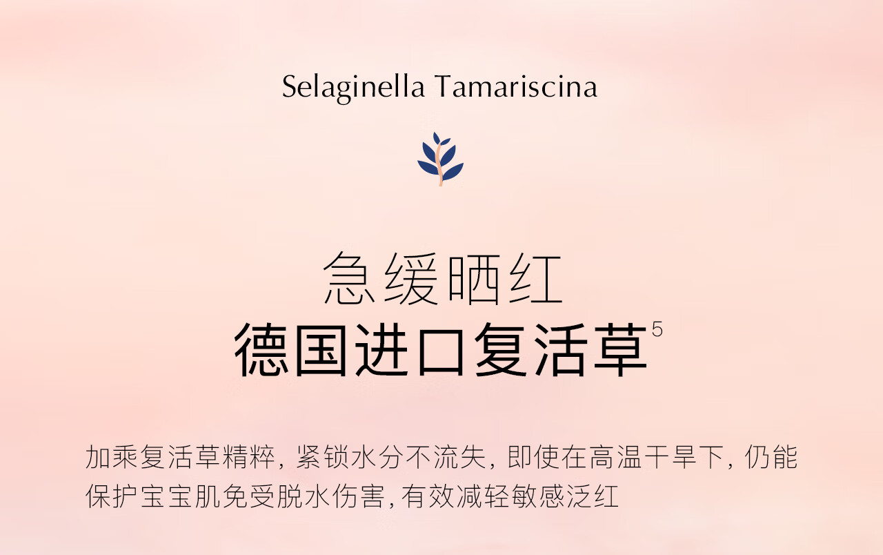 Bodcrme ͯѩ޻˪ 50g