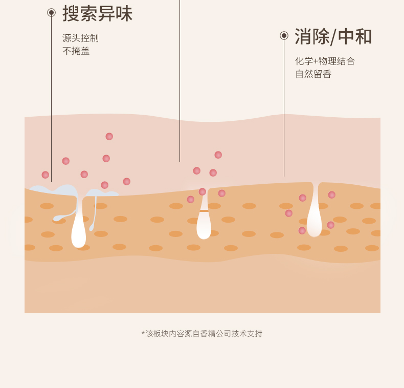 WATERCOME ˮ֮ޢֹ 20ml*1֧