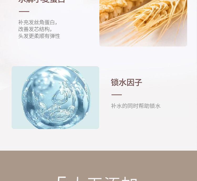 Ficcecode ޷ʫޢĤ 300ml