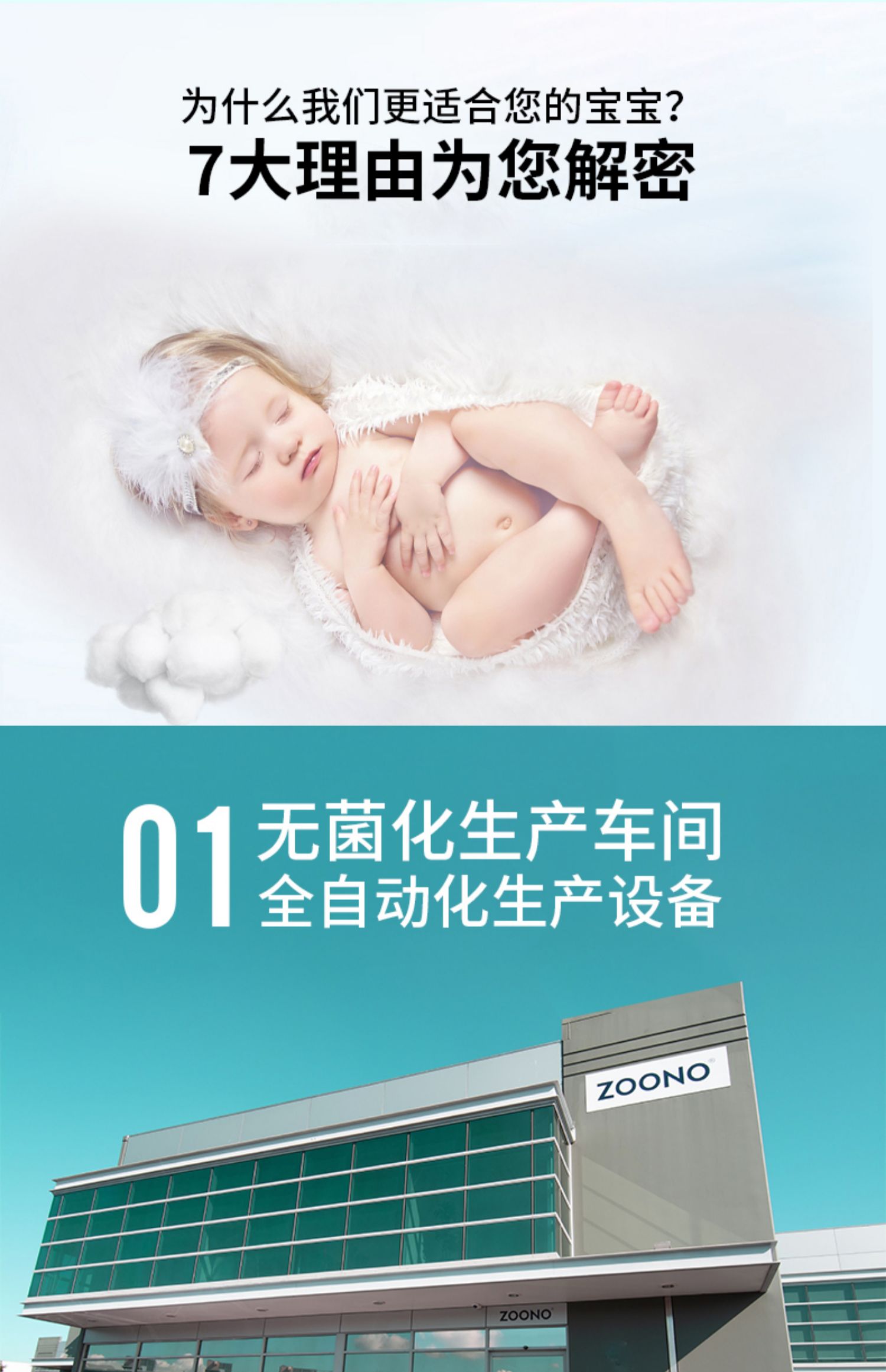 ZOONO ŵרóЯʪ 60/ Ȿԭ