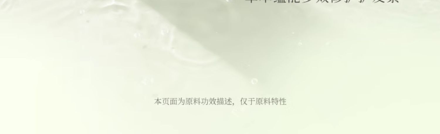 PLANT`ISM ֲݱ˳ᰱϴ¶ 460ml
