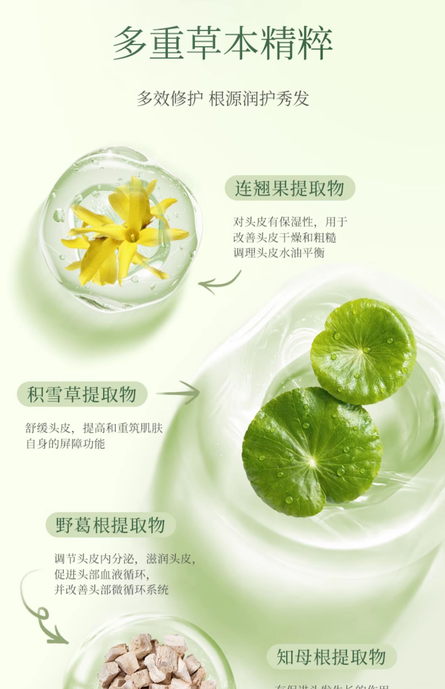 PLANT`ISM ֲݱ˳ᰱϴ¶ 460ml