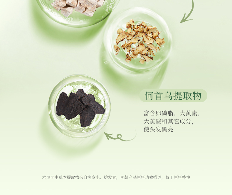 PLANT`ISM ֲݱ˳ᰱϴ¶ 460ml