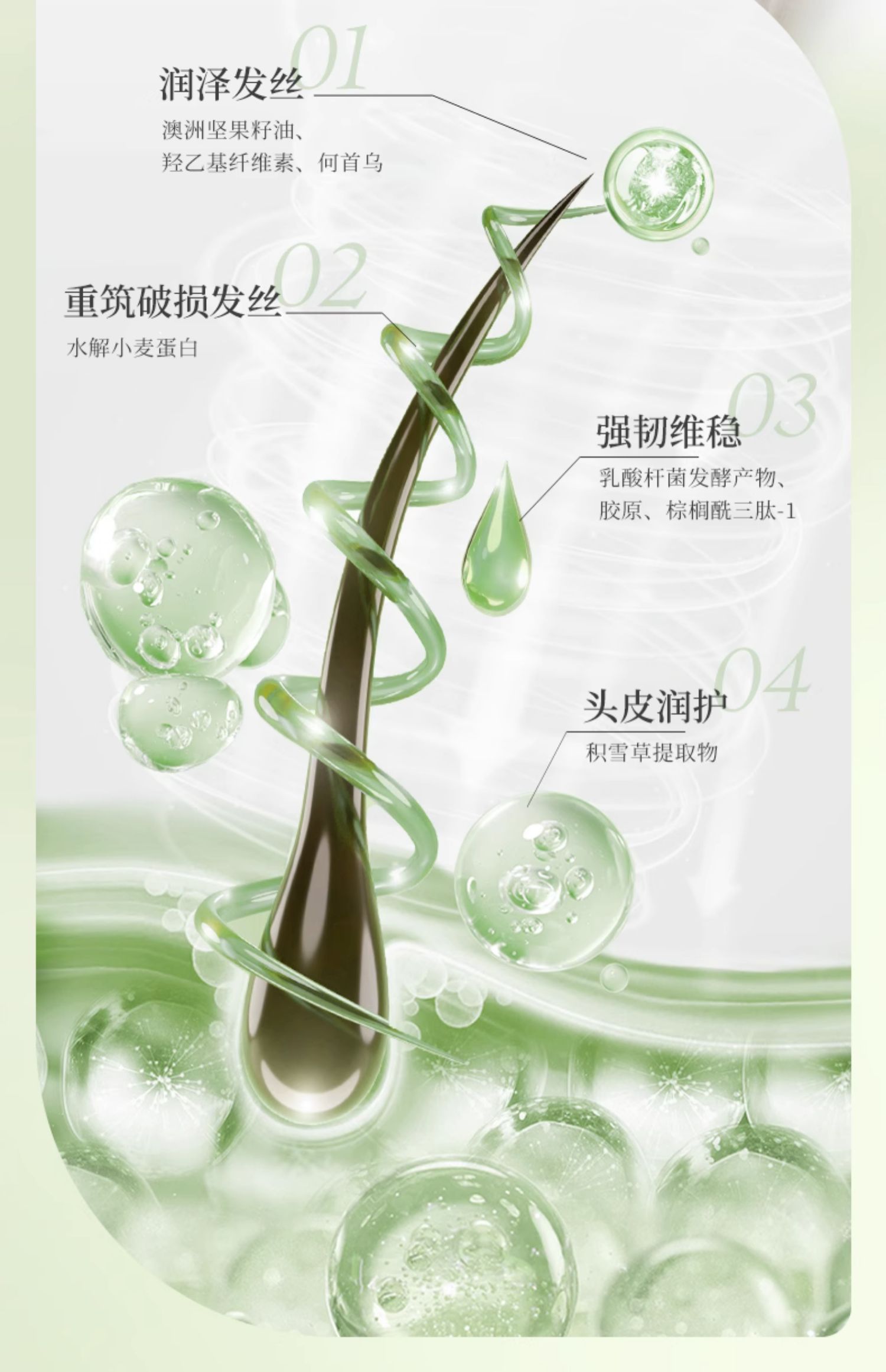 PLANT`ISM ֲݱ˳ᰱϴ¶ 460ml