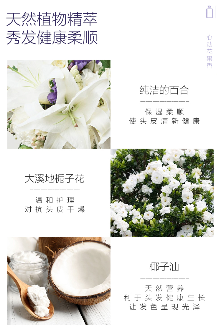 AEKYUNG ϣ˿˳˿ϴ¶ 600ml