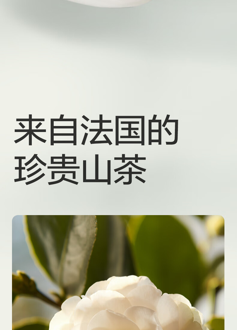 Babycare ɽ軨ϵӤ XXXL 24Ƭ