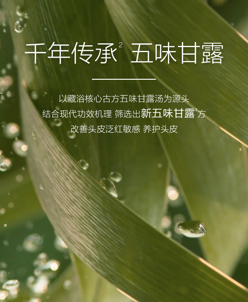 CHANDO ȻͷƤӯǿϴˮ 550mL