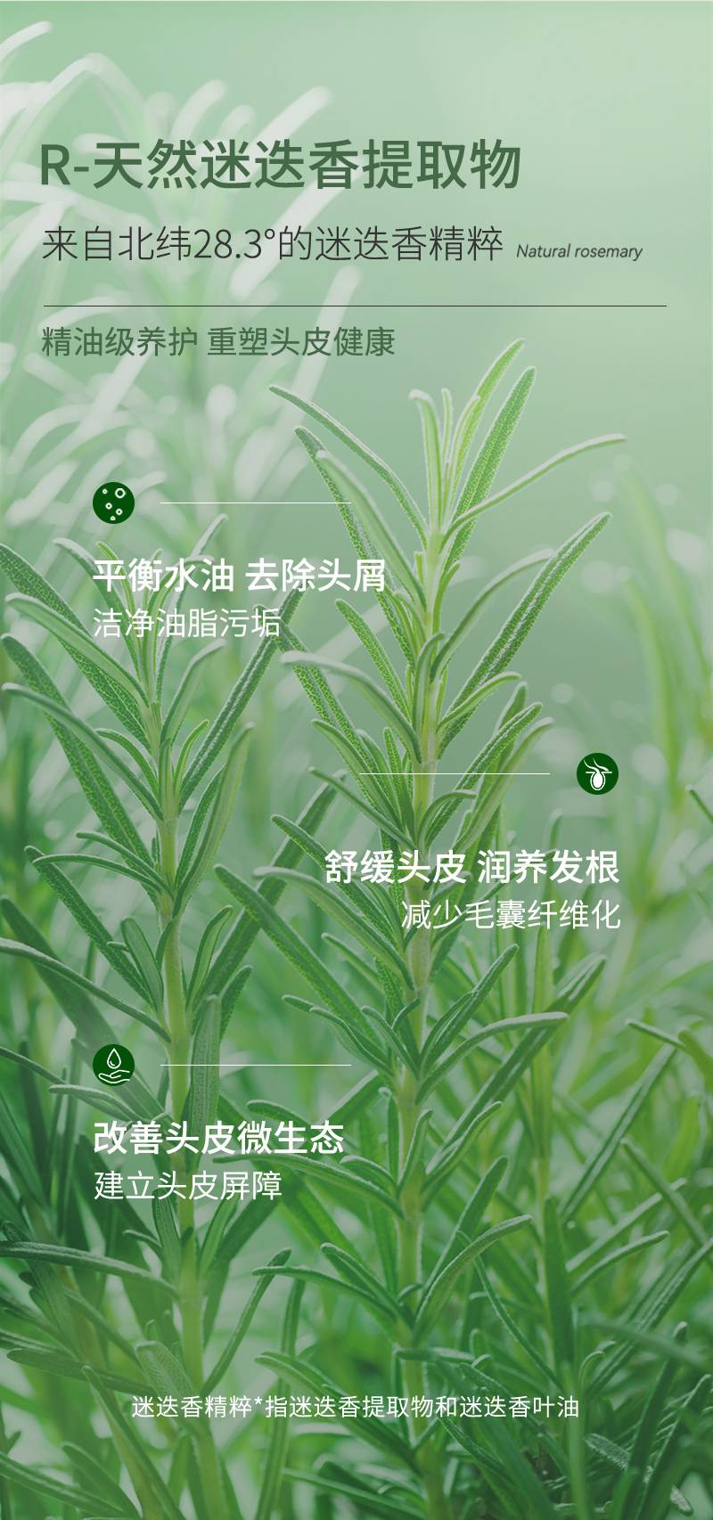 Claude Galien 歌歌兰妮控油蓬松洗发水 300ml