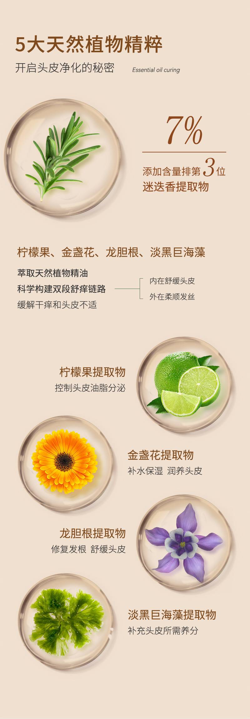 Claude Galien 歌歌兰妮控油蓬松洗发水 300ml