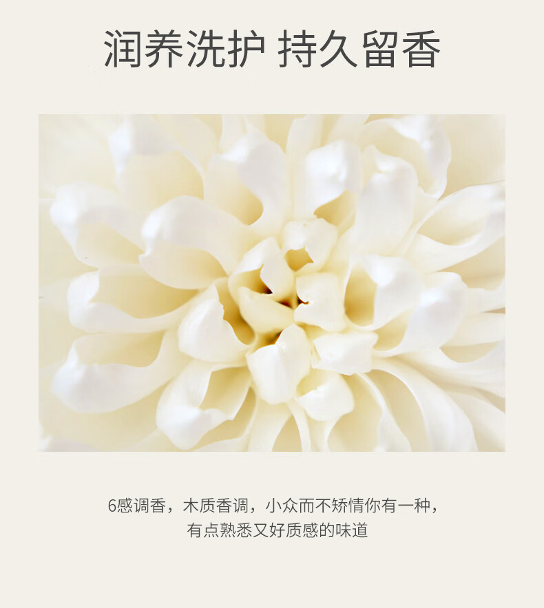 ASAKA ǳ㰱ϴˮ 500g