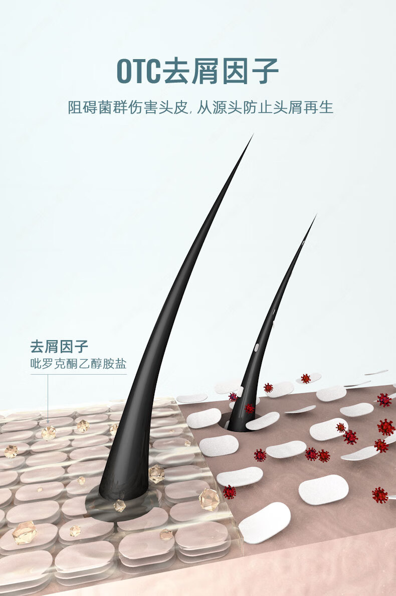 QINYE Ҷa֮ϵϴˮ 500ml