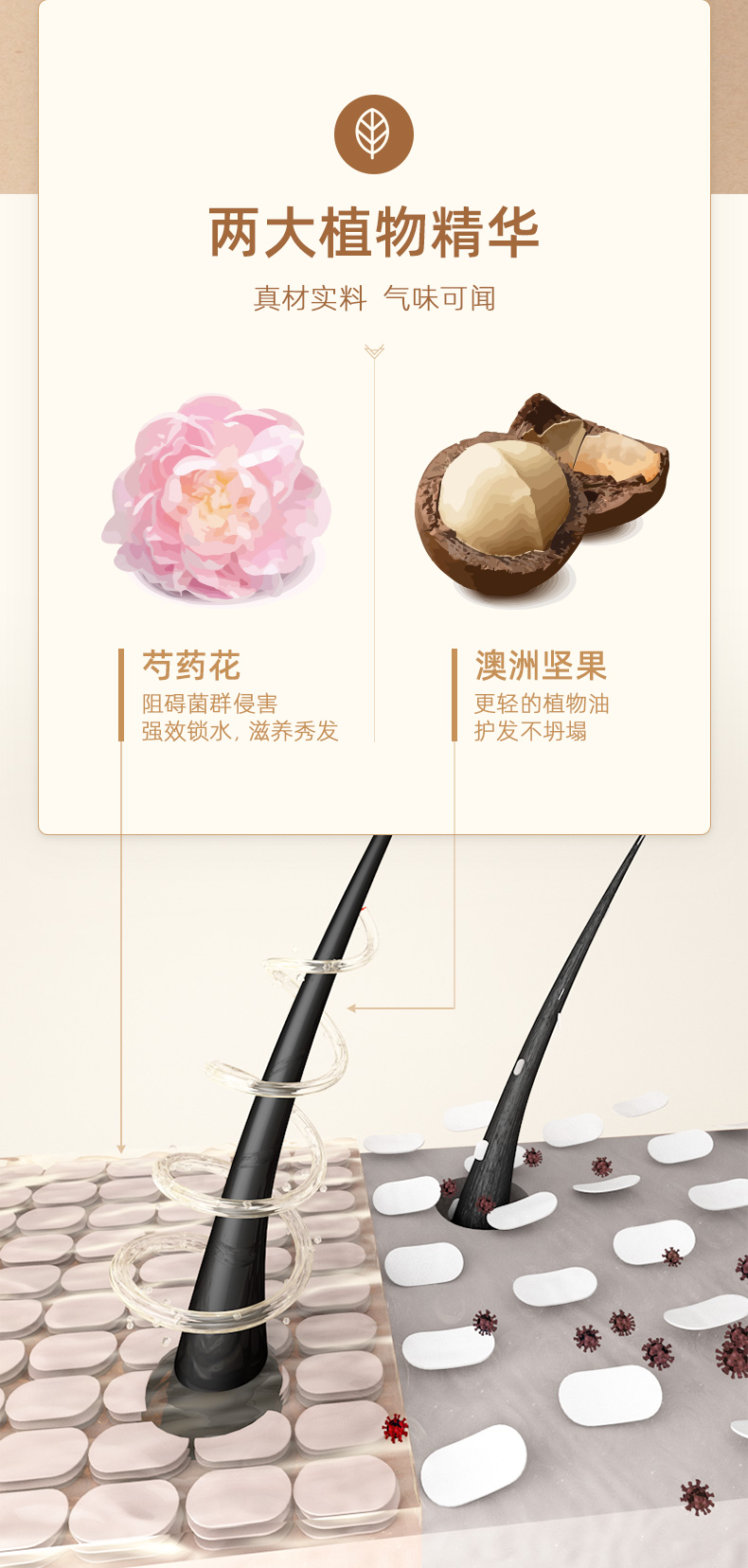 QINYE Ҷa֮ҩӯͻ˪ 200ml