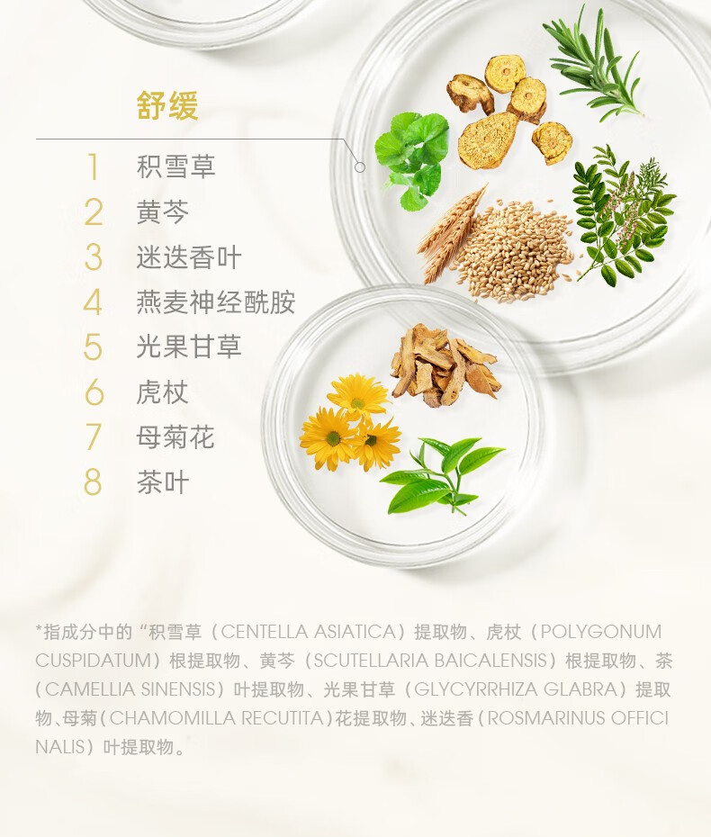 WICKLE ΩӤ׶ˮ滺ܸ 15g