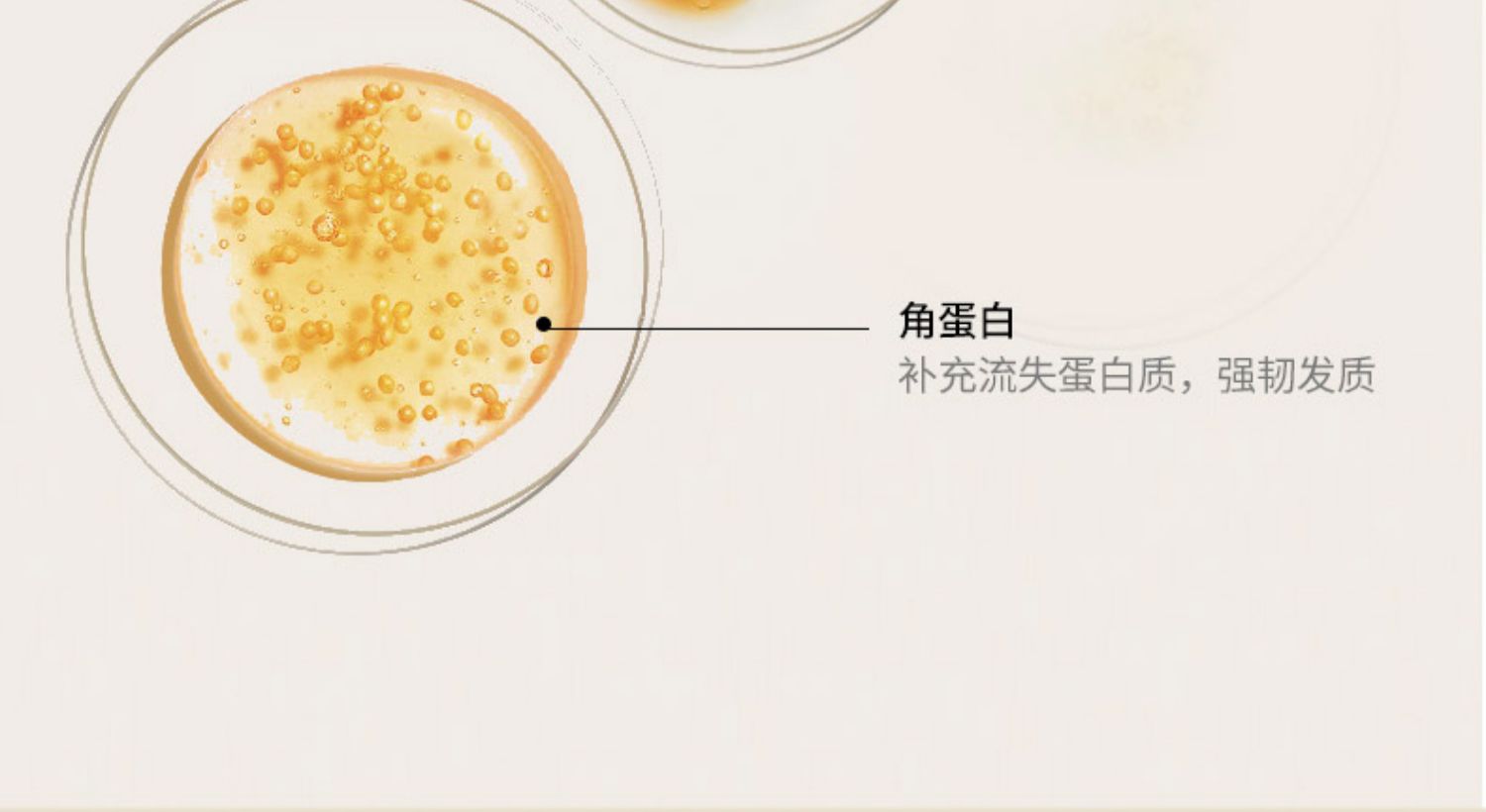 CITRUSPA ձ˿Ÿӯϴˮ׸ 470ml Ȿԭ