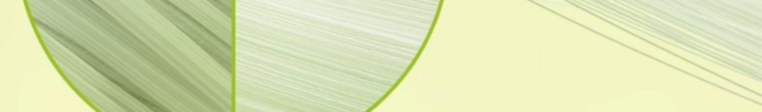MOBEIEN Ħ360͸Ӥֽ L 42Ƭ  9-14kg