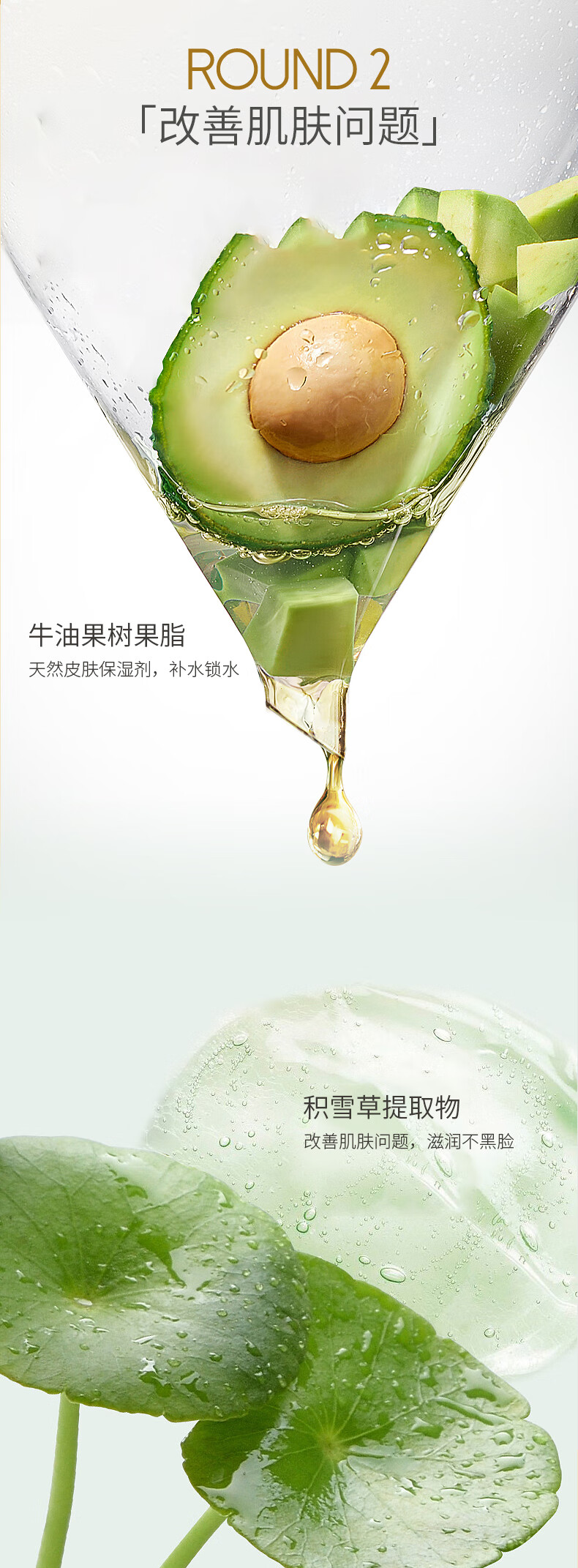 OBC ŷӤ屣ʪ˪ 50g