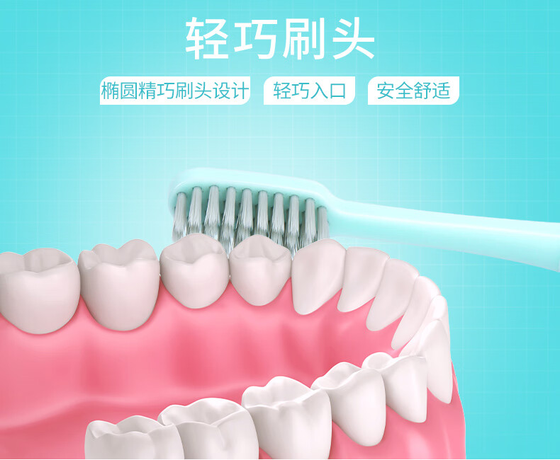 DentalDoctor ʿỤëˢDT8202 2֧װ
