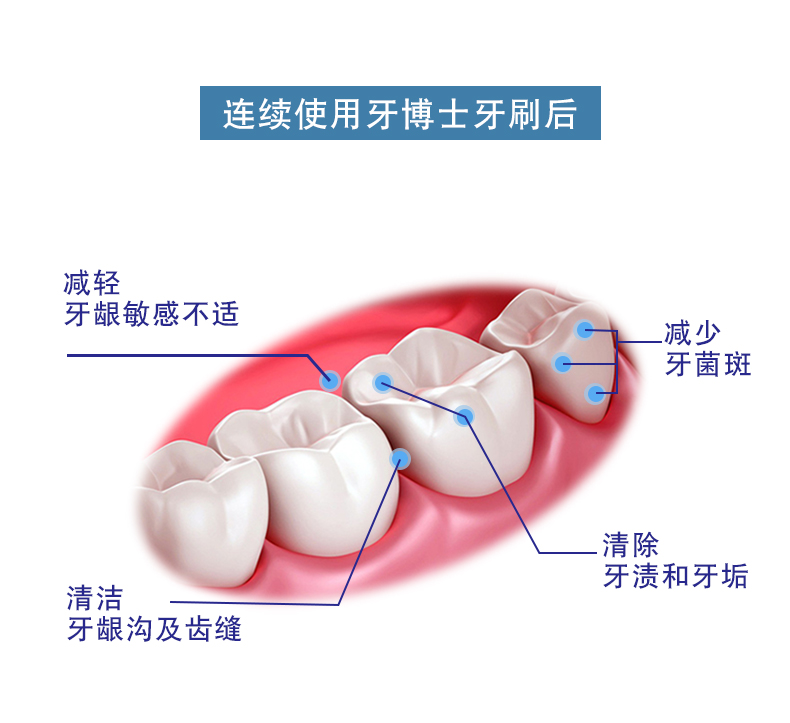 DentalDoctor ʿ೬ֵװ