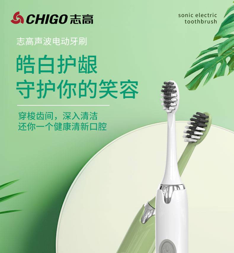 CHIGO ־߳־һ˵綯ˢ ɫ