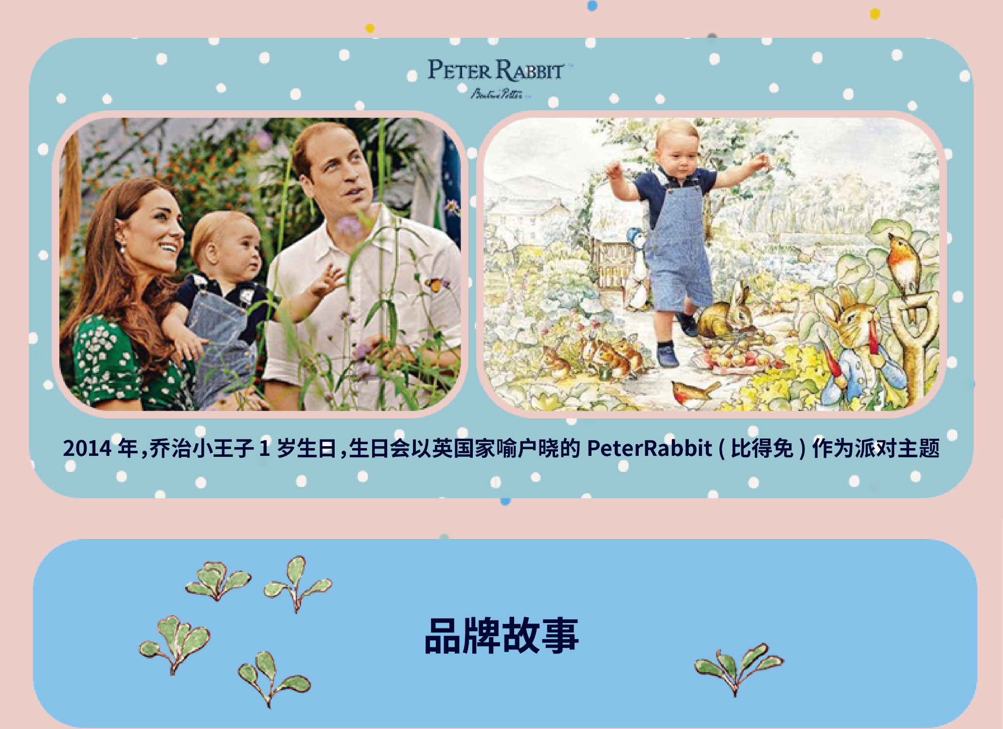 Peter Rabbit ȵ˹ 25cm