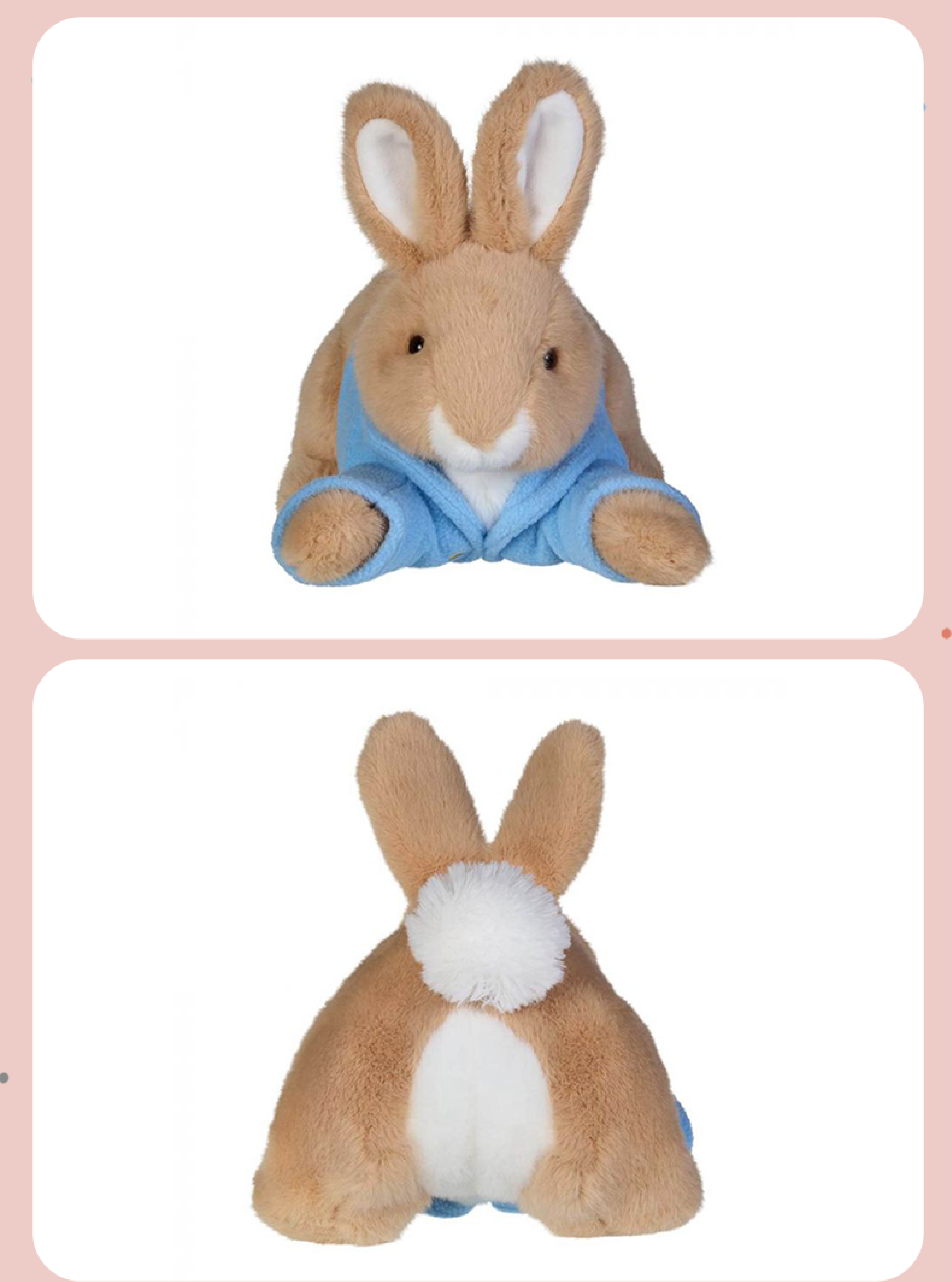 Peter Rabbit ȵſ˹