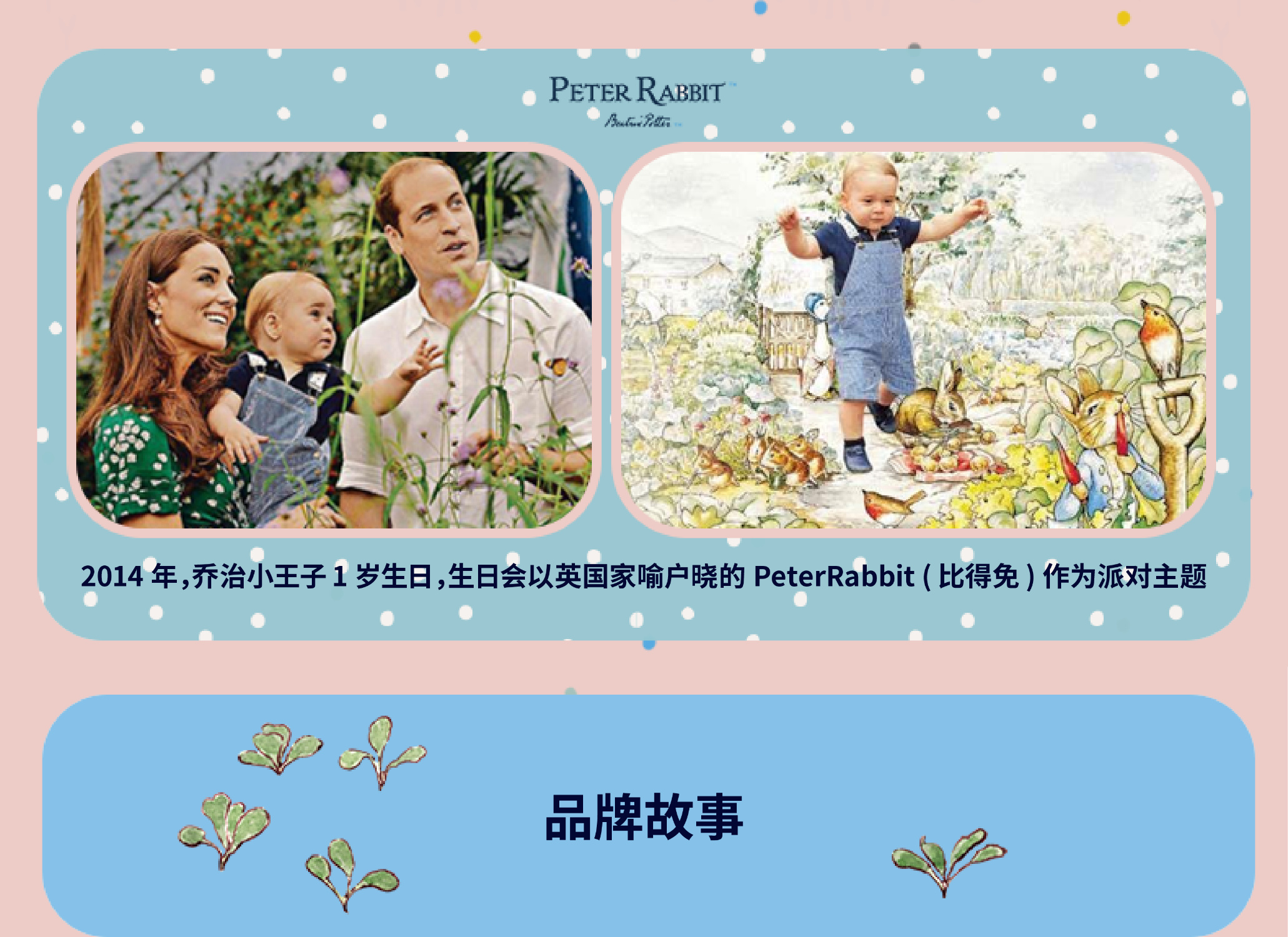 Peter Rabbit ȵſ˹