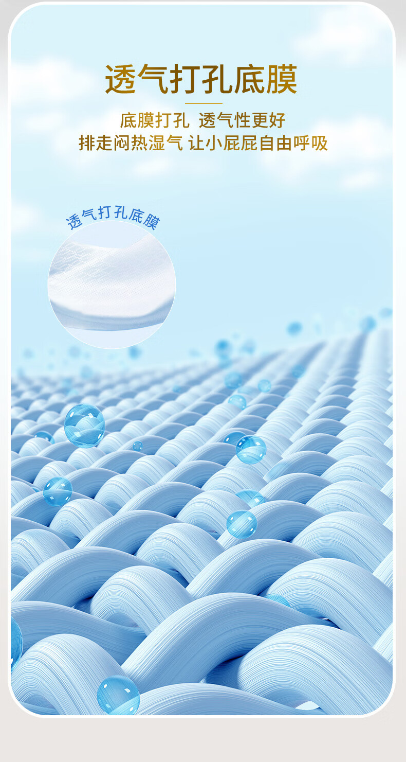 COTTONLANE ȫ޺XXXL 34Ƭ