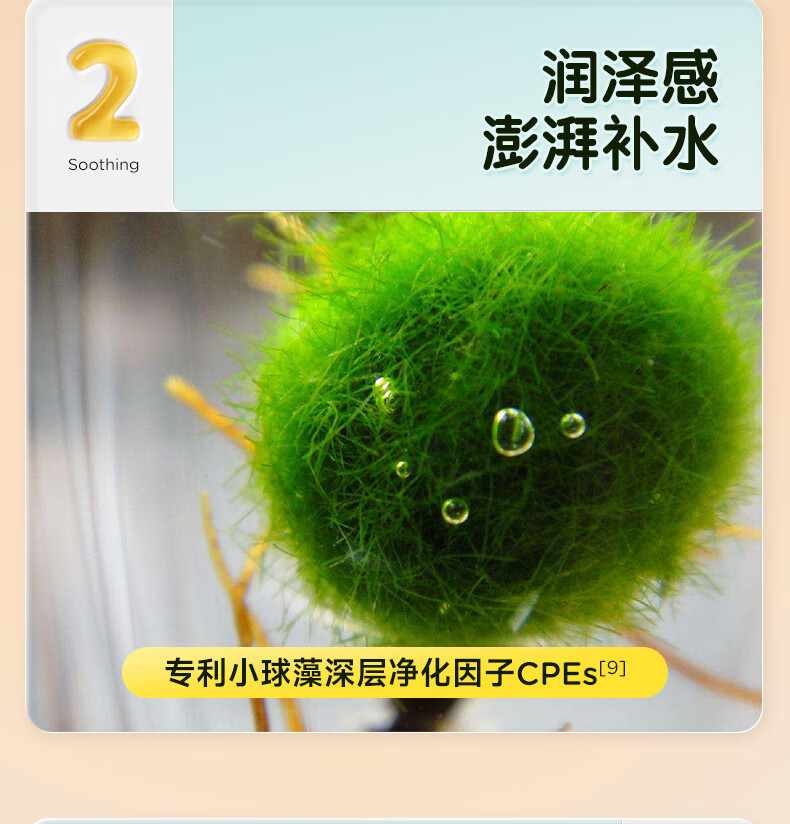 2װFROGPRINCE Ӷͯ󴽆 8g
