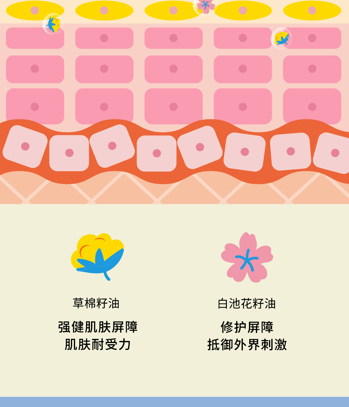 MUSE&FRIENDS ˹Ǵͯ滺ʪ˪ 50g