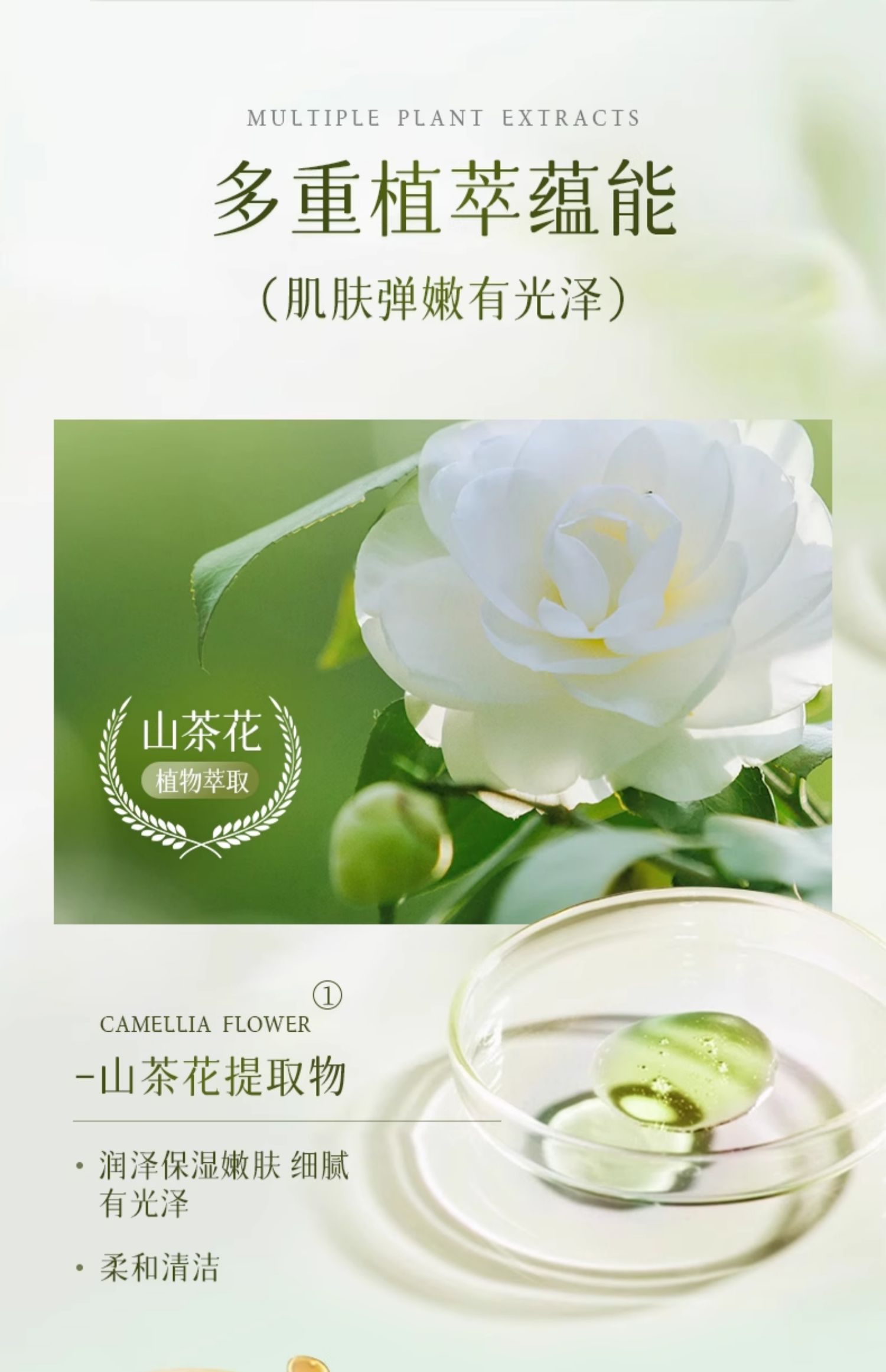 BISUTANG ɽ軨Өԡ¶ 500ml