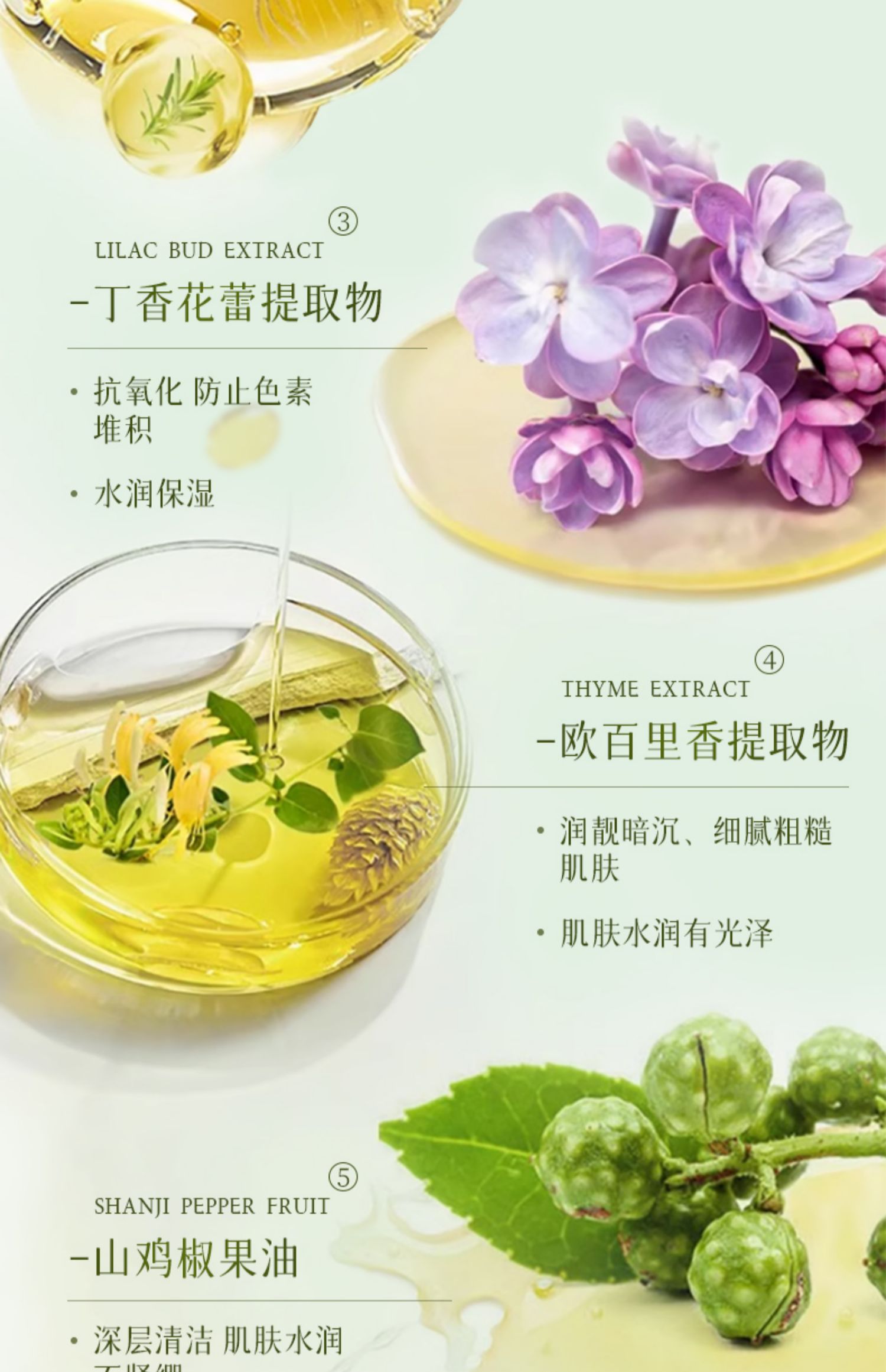 BISUTANG ɽ軨Өԡ¶ 500ml