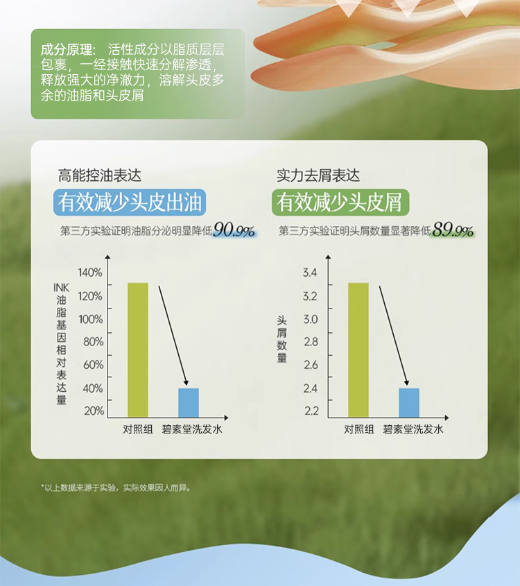 BISUTANG ˳ϴˮ 500ml