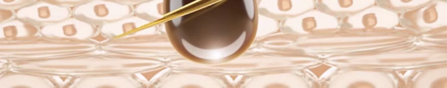 BISUTANG ˳ϴˮ 500ml
