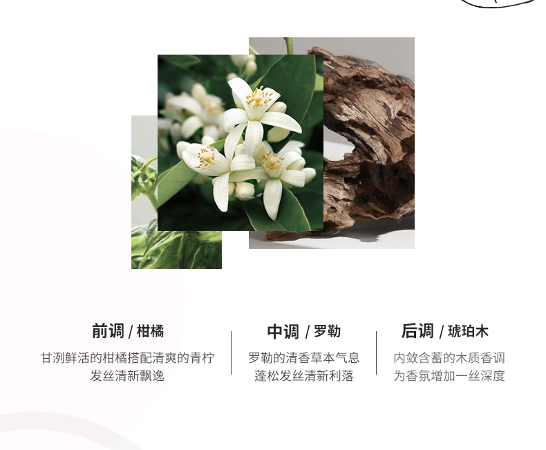 MOFAJIANG ħϴˮ 180ml