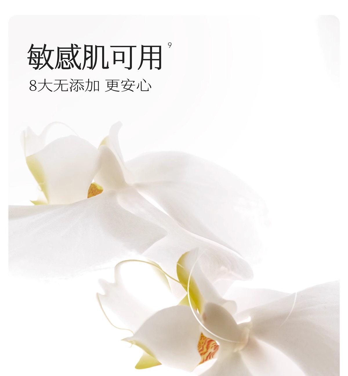 Little Dream Garden Ķ͸ 250ml