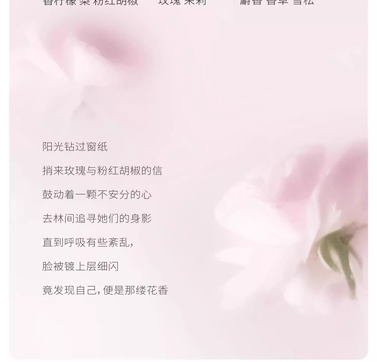 Little Dream Garden Ķ͸ 250ml