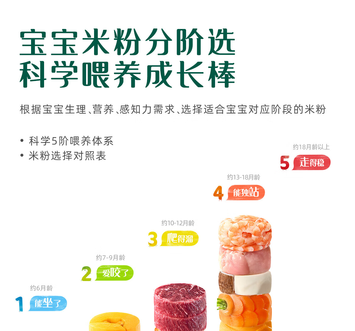Engnice ӢӤ׶ϹϼпӪ׷3 258g