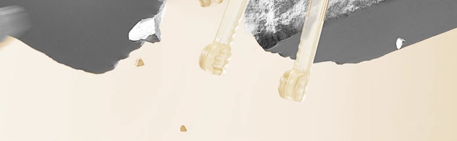 Beeshum ˹ķСѧϰ+ɺ