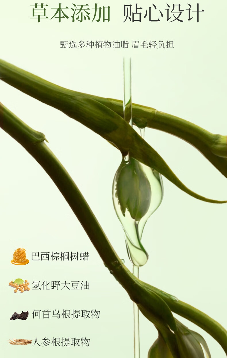 PLANT`ISM ֲϸü