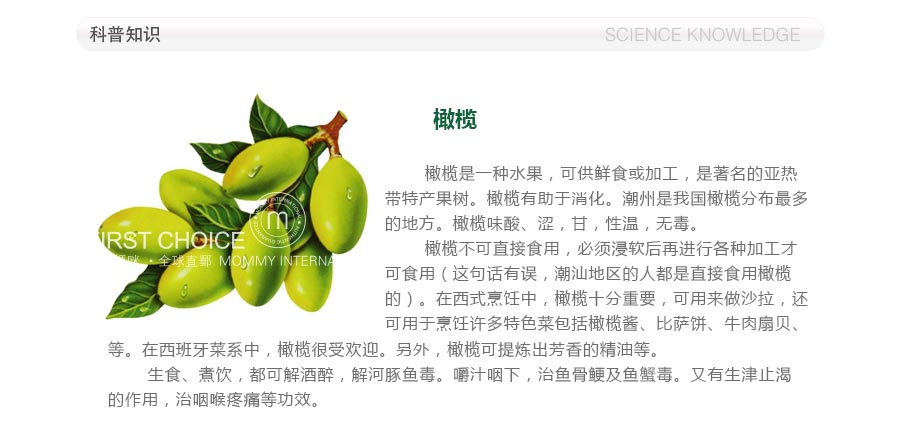 Florena 德国芙蕾蓉娜橄榄保湿滋润护手霜 海外本土原版