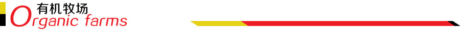 ¹ר
